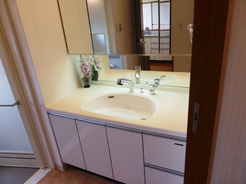 Wash basin, toilet. Wide basin