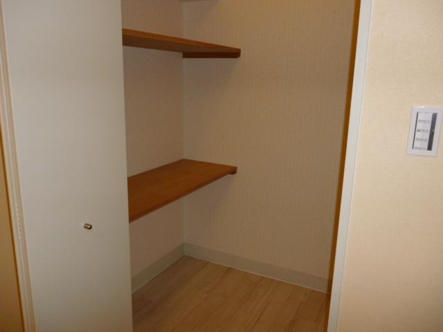 Other introspection. Walk-in closet