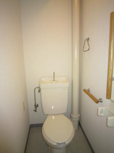 Toilet. With handrail