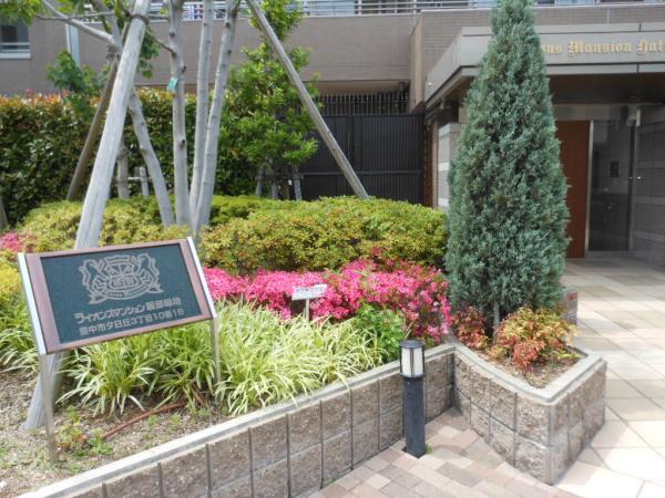Entrance. Common areas