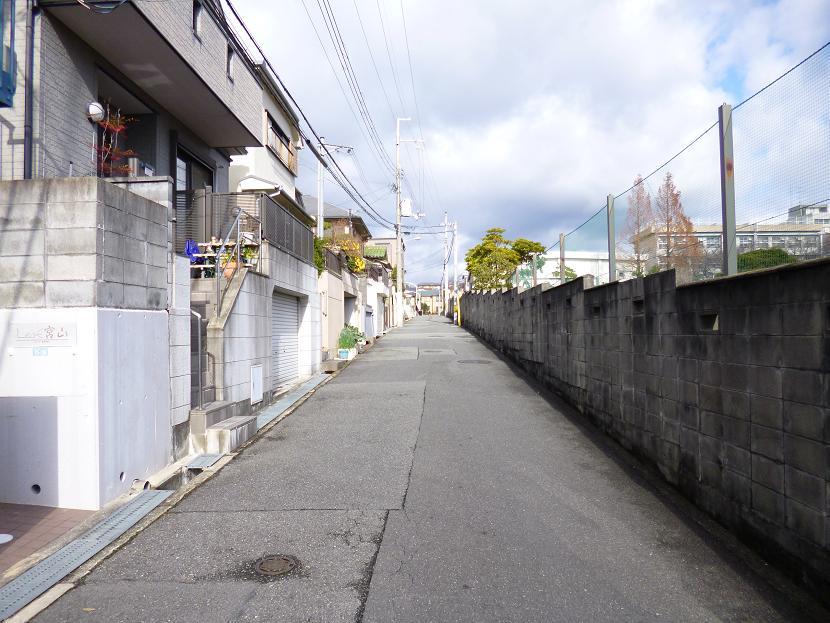 Local photos, including front road. Local (12 May 2013) Shooting Front public road about 4m