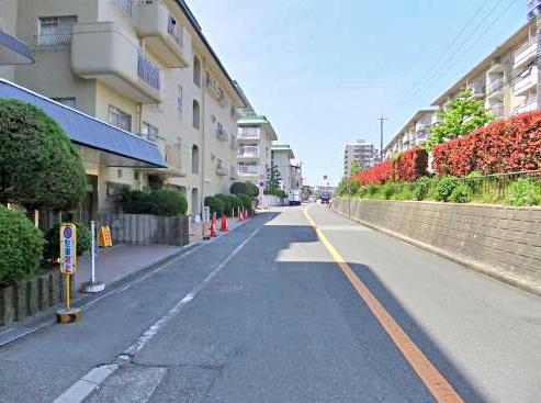 Other local. Frontal road