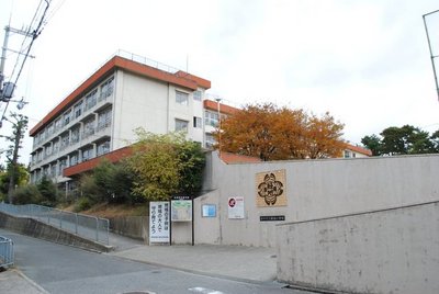 Primary school. 262m green space until the elementary school (elementary school)