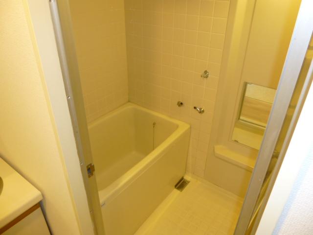 Bathroom. Indoor (10 May 2013) Shooting