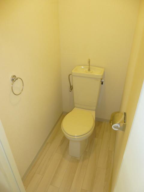 Toilet. Indoor (10 May 2013) Shooting