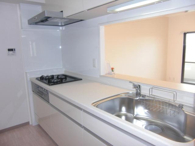 Kitchen. System kitchen had made
