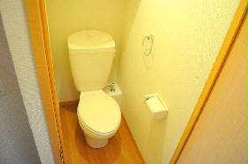 Toilet. Toilet is also wide enough! 