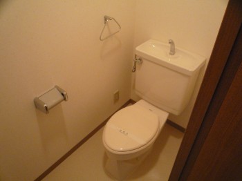 Other. Toilet