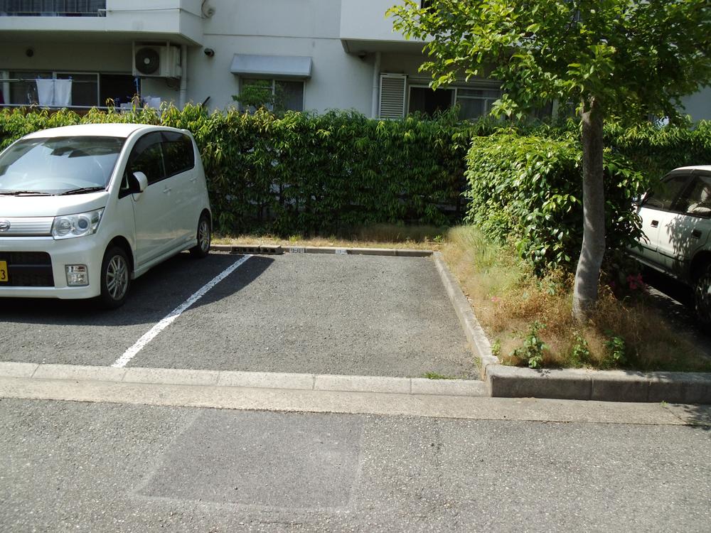 Parking lot. Common areas
