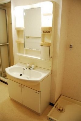 Washroom. Washing bread and shampoo dresser in the dressing room. 