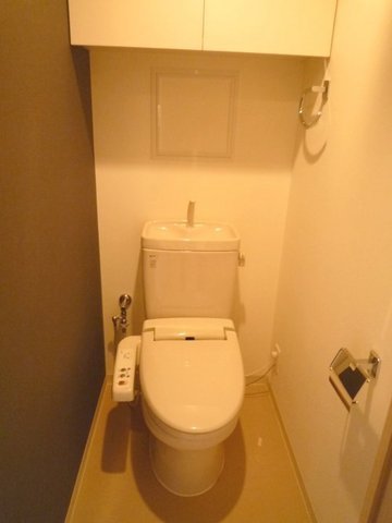 Toilet. Clean toilet