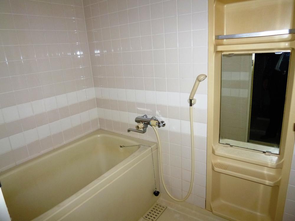 Bathroom. Indoor (10 May 2013) Shooting