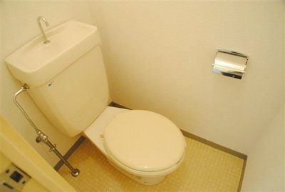 Toilet. Toilet with cleanliness