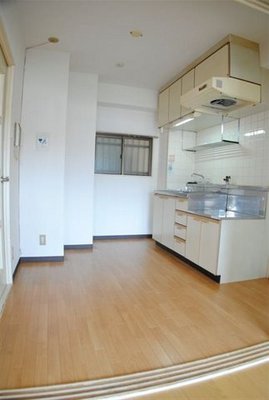 Living and room. Spacious kitchen space