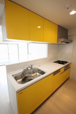 Kitchen. System kitchen adopted with a dishwasher