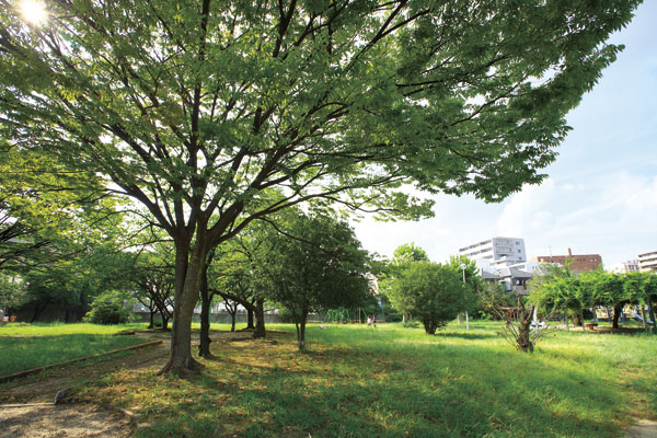 Surrounding environment. Daimon Park (a 10-minute walk ・ About 780m)