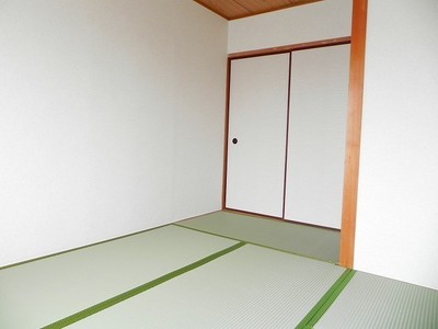 Living and room. Spacious space Japanese-style room.