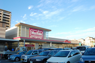 Shopping centre. 650m until ion Midorigaoka (shopping center)