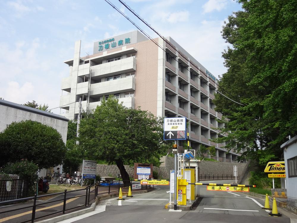 Hospital. National Hospital Organization Toneyama to hospital 733m