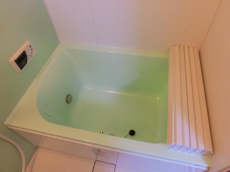 Bathroom. It is a little smaller in the bathroom, Cute is emerald green color. 