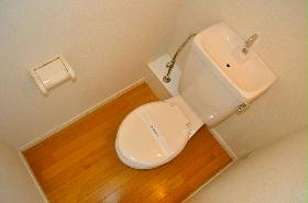 Toilet. There is also enough breadth of toilet!