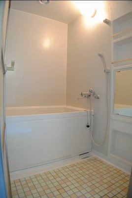 Bath. Comfortable bathroom