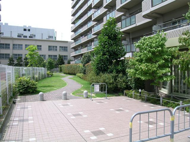 Local appearance photo. The south side of the boardwalk