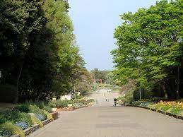 park. Until Crane 951m