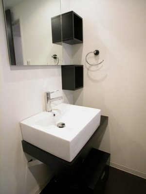 Living and room. Stylish design washbasin. 