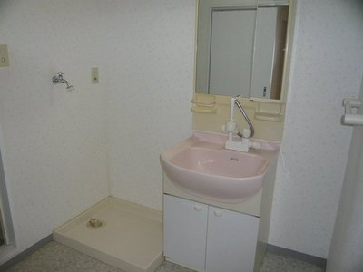 Washroom. Spacious dressing room