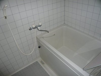 Bath. It bathtub is also broad