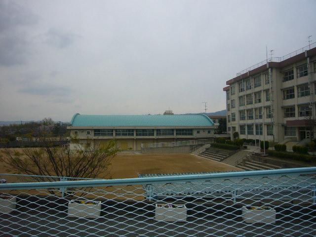 Other. 11 junior high school
