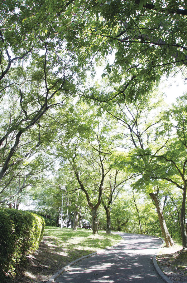 Surrounding environment. Senri Chuo Park (7 min walk ・ About 540m)