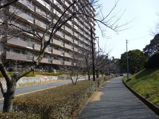 Local appearance photo. local