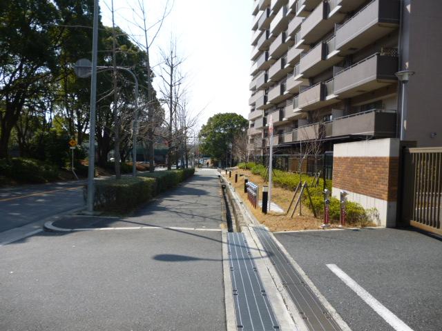 Local appearance photo. local
