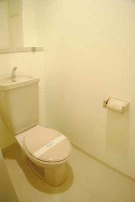 Toilet. It is very a clean toilet