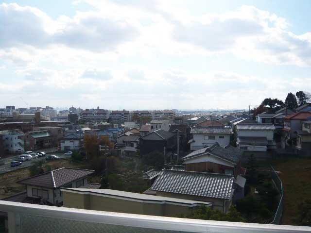 Kitchen. View