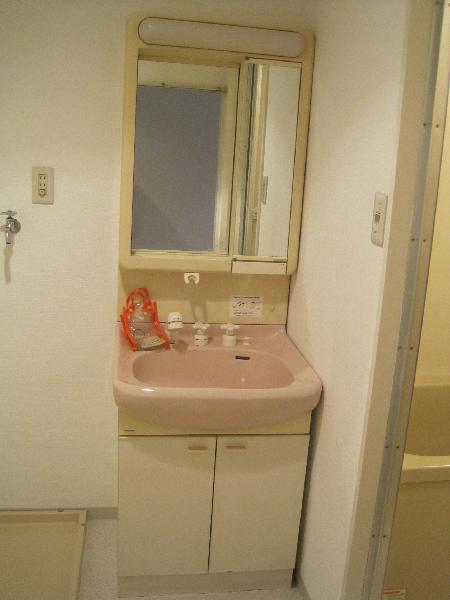 Washroom. Bathroom vanity