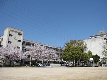 Other. Terauchi elementary school