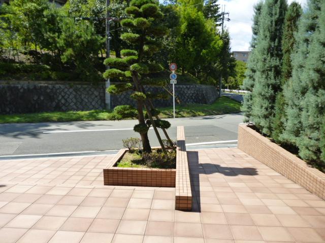 Entrance. Common areas