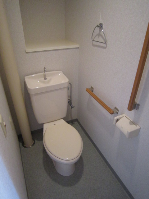 Toilet. With handrail