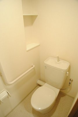 Toilet. Clean preeminent with clean toilet