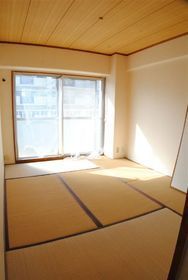 Living and room. Japanese style room