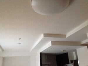 Living. Indoor ceiling (September 2013) Shooting