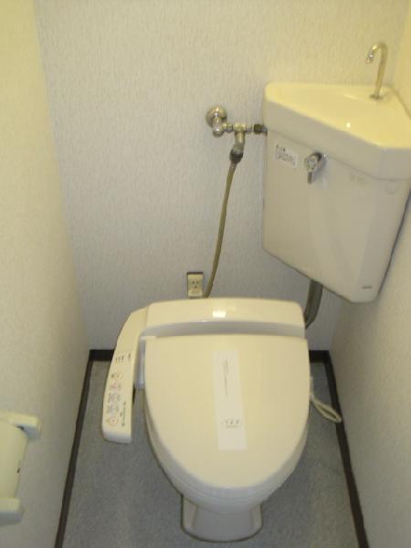 Toilet. Toilet