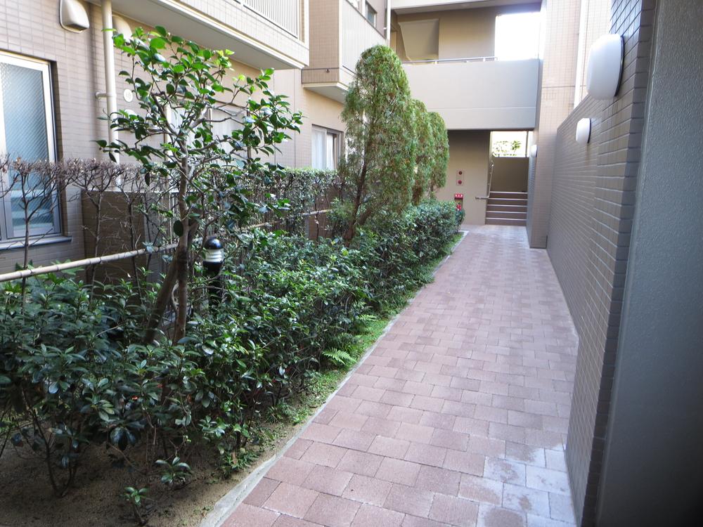 Other common areas. Go through soon this road missing lobby. Green is also attractive in the clean.