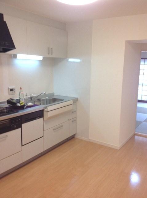 Kitchen. Indoor (September 2013) Shooting
