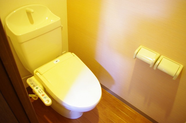 Toilet. Washlet toilet