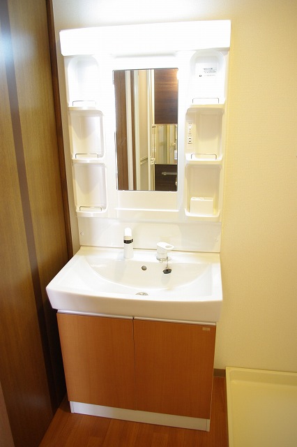 Washroom. Vanity with shower