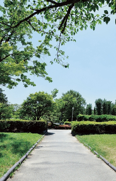 1-minute walk of Chisato Minamicho park (about 10m)